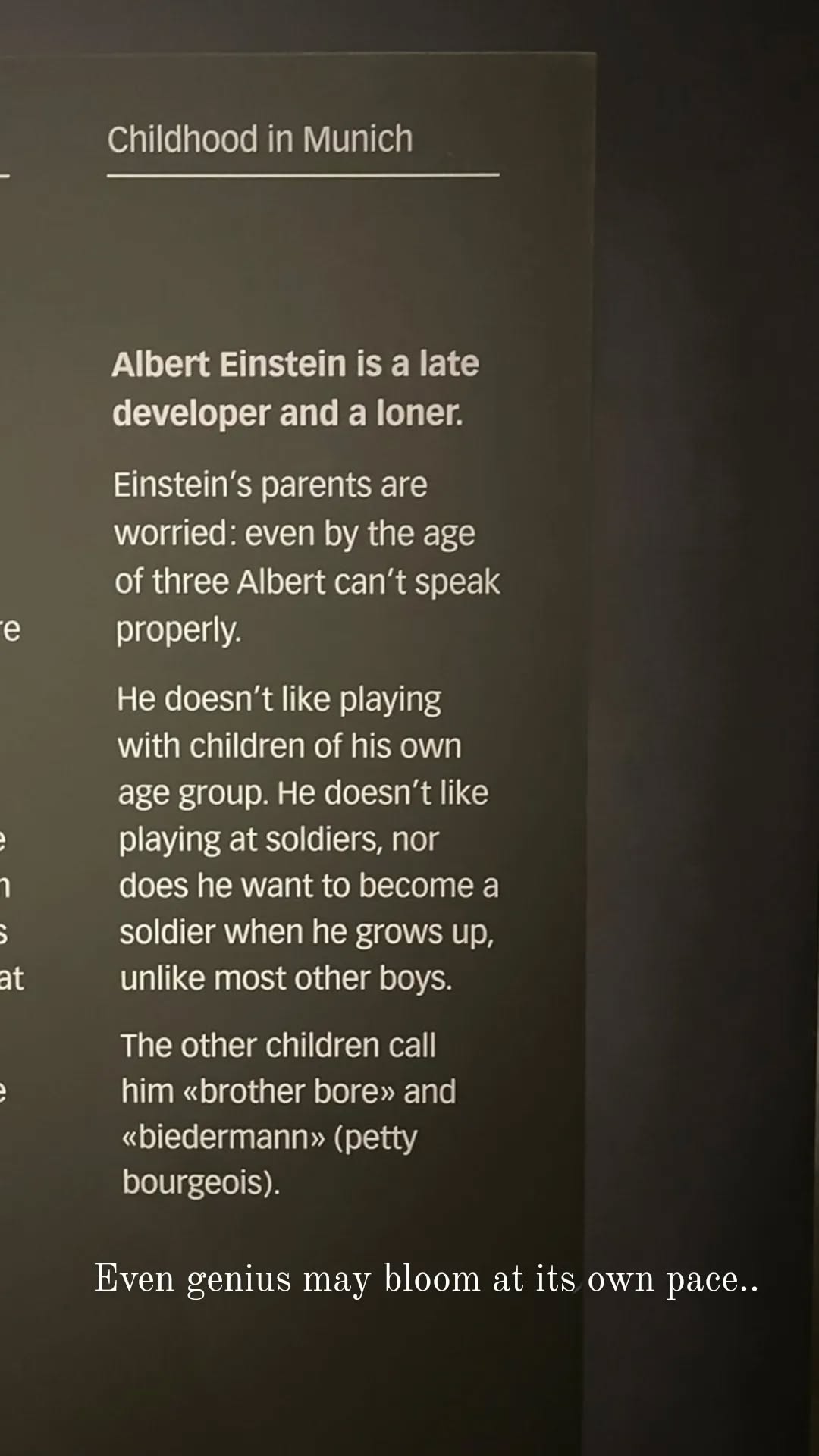 Einstein museum exhibit - late developer