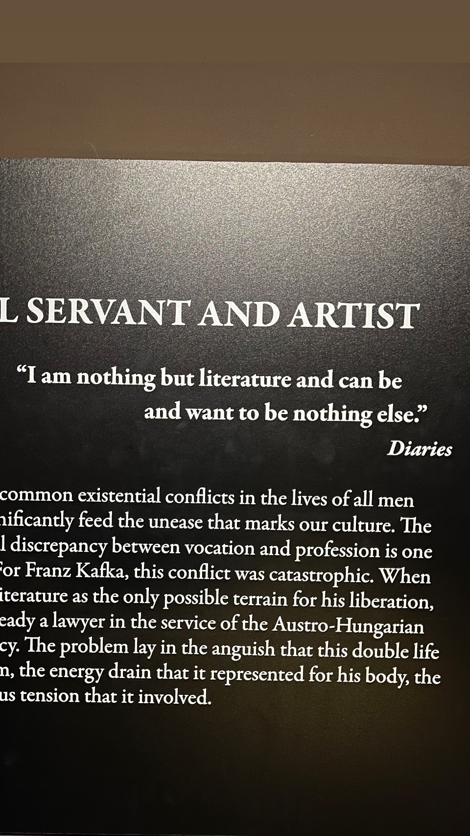 Civil Servant and Artist - I am nothing but literature