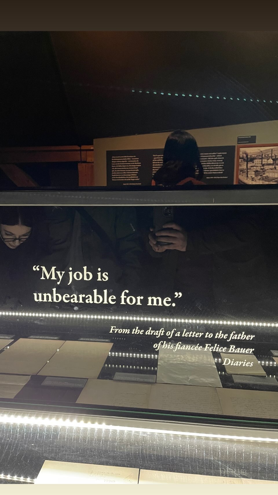 My job is unbearable for me - museum glass case